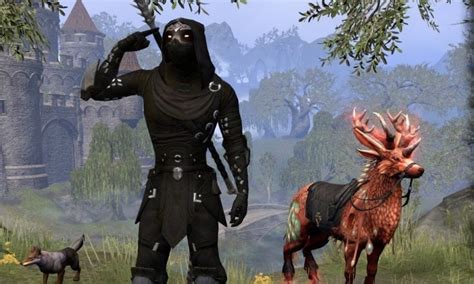 eso nightblade builds